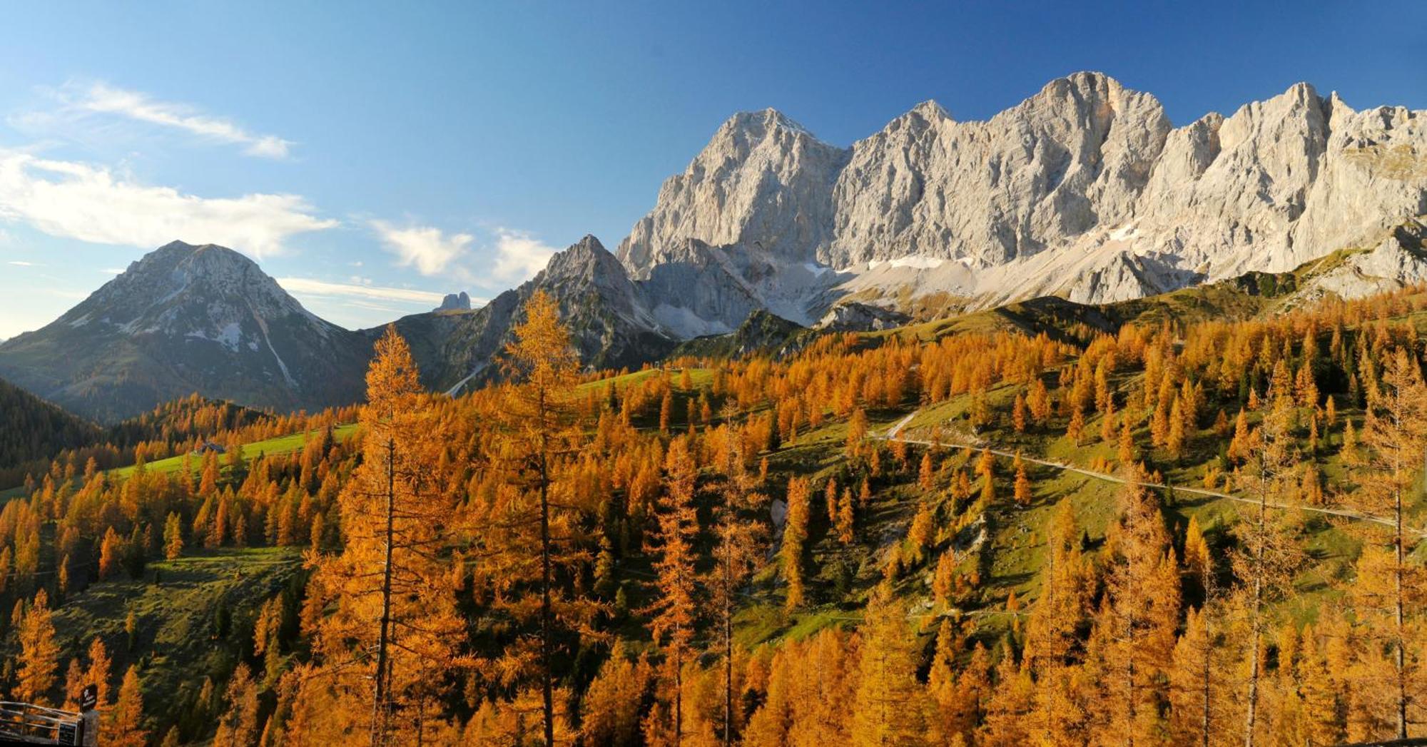 Naturchalet Hoeflehner - Heimgefuehl & Ruhelage An Loipe & Wanderweg Ramsau am Dachstein Exteriér fotografie